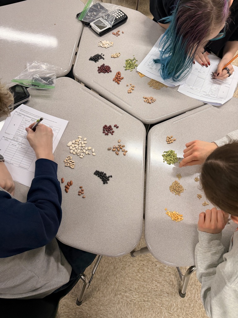 AP Biology students studying biodiversity