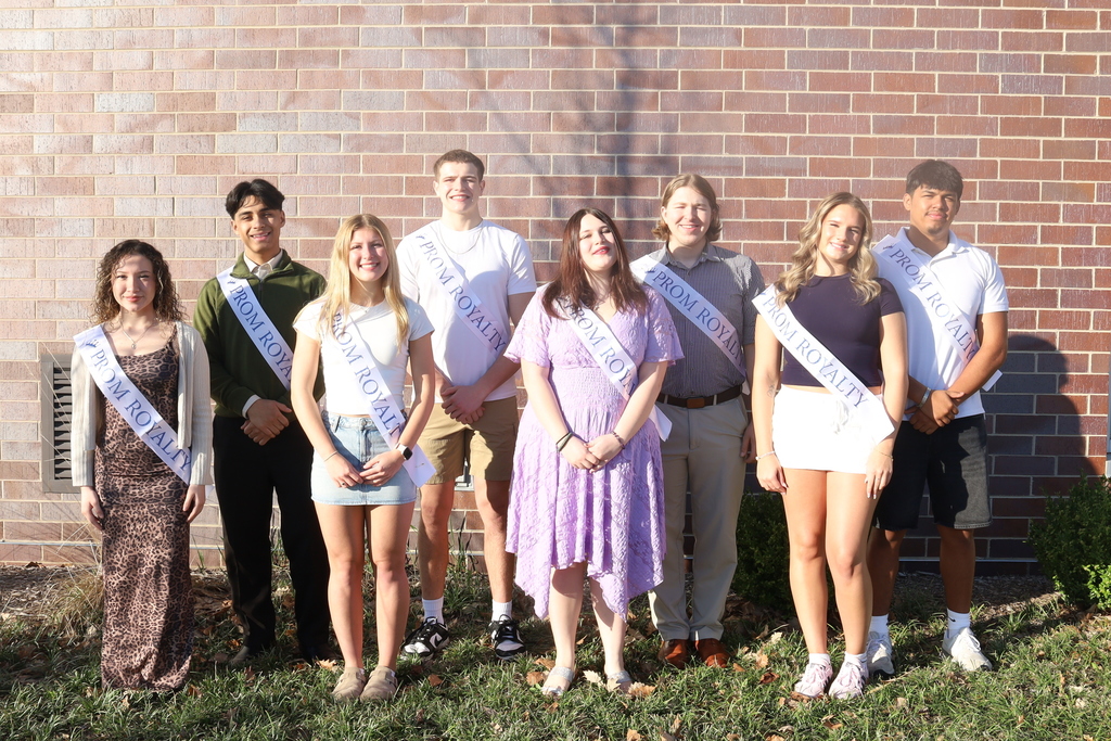 8 students posing with prom royalty sashes
