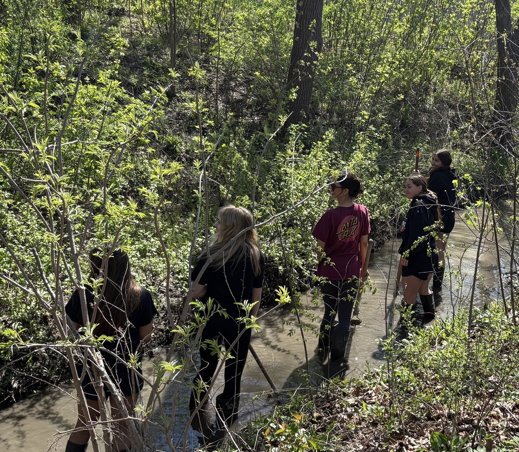 Students in the creek by trees 