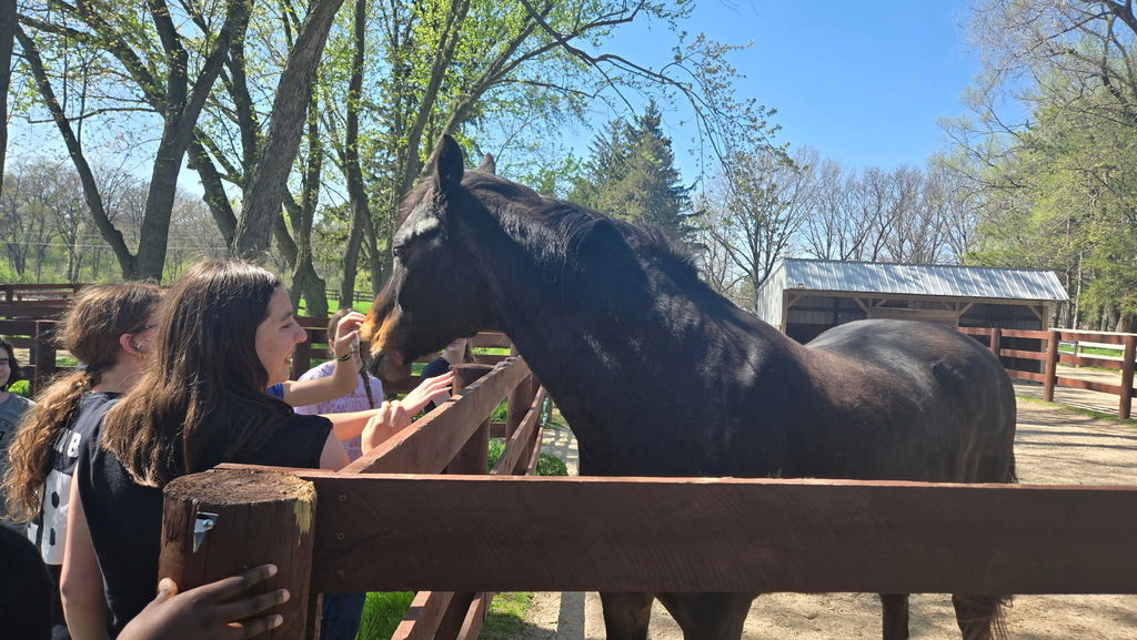 Students petting a horse