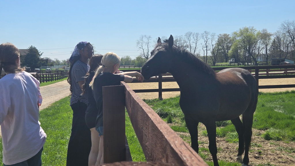 Studnets near a horse