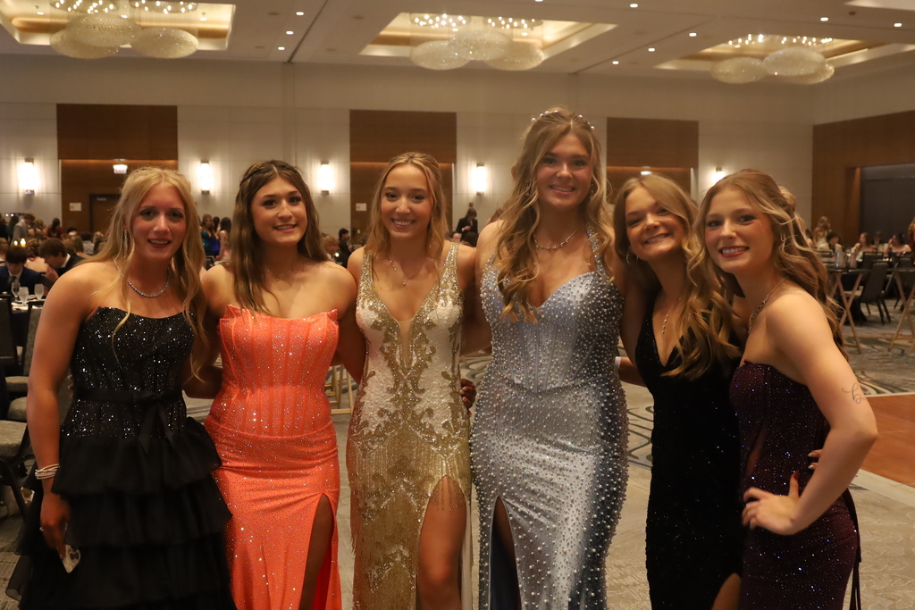 6 girls posing at prom