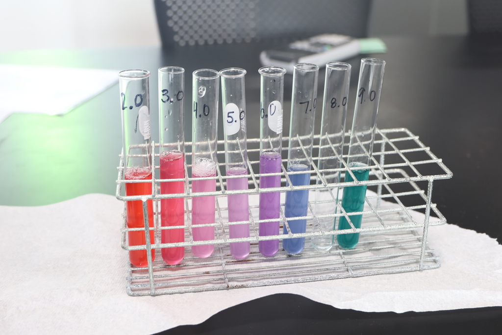 9 vials with eight of them having different colors: red, pink, shades of purple and teal 