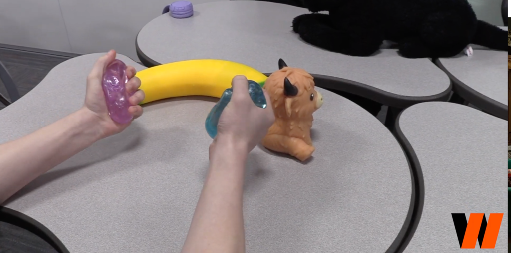 Student holding needohs 