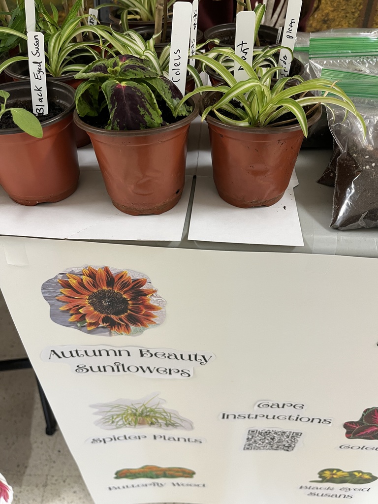 Environmental Club held a plant sale May 7