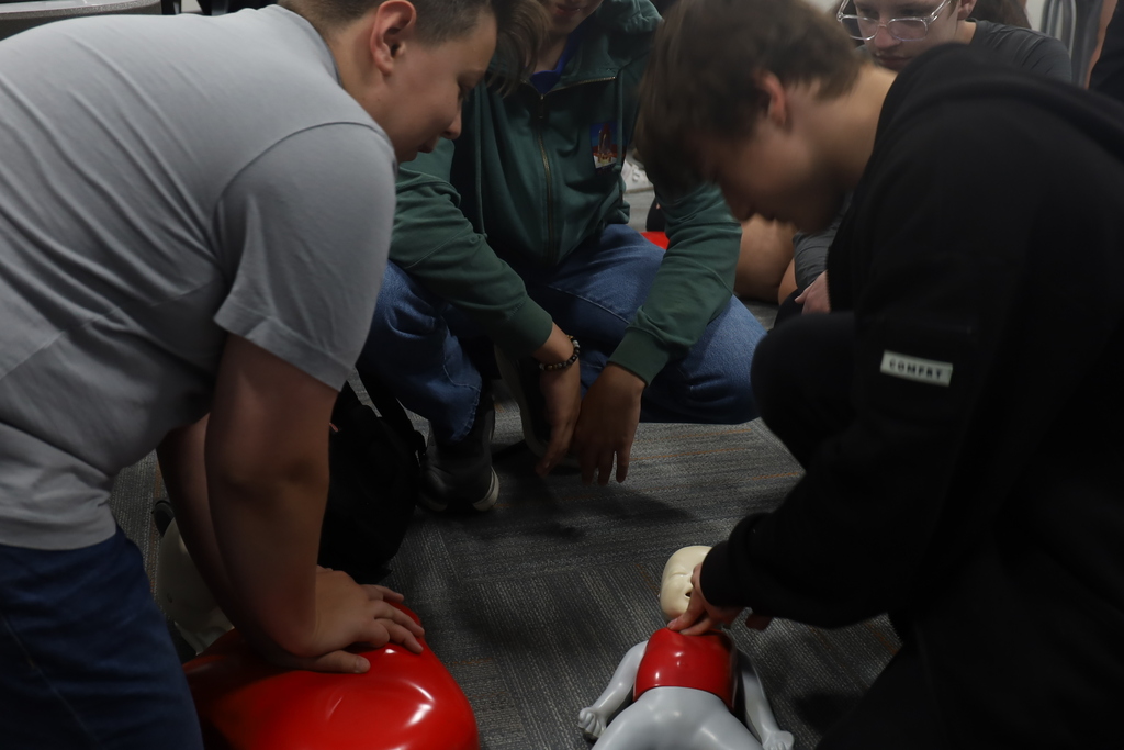 Students practicing CPR on baby CPR mannequin and adult mannequin 