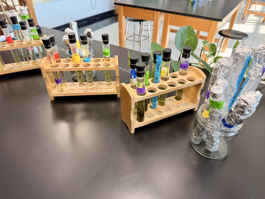 Beakers with the solutions