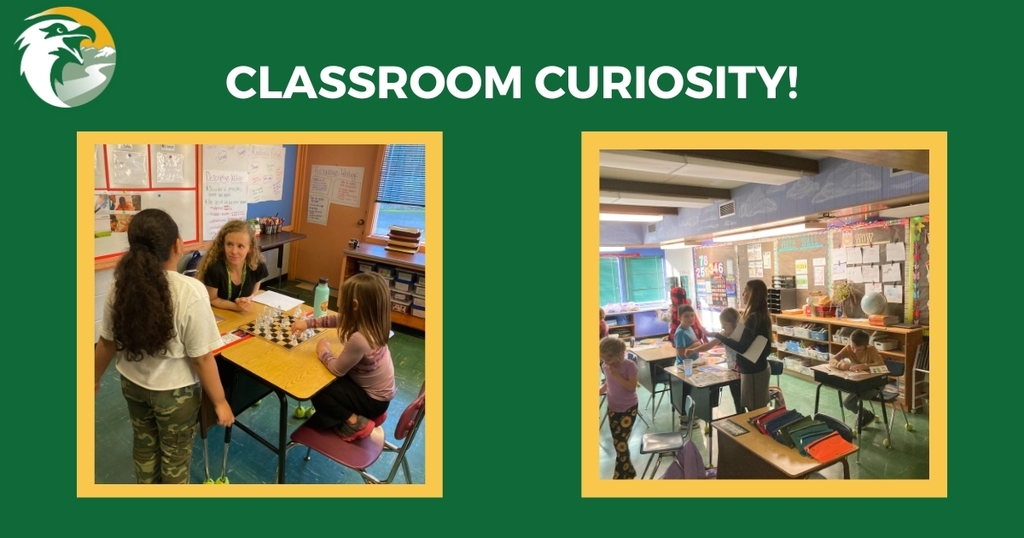 Classroom Curiosity