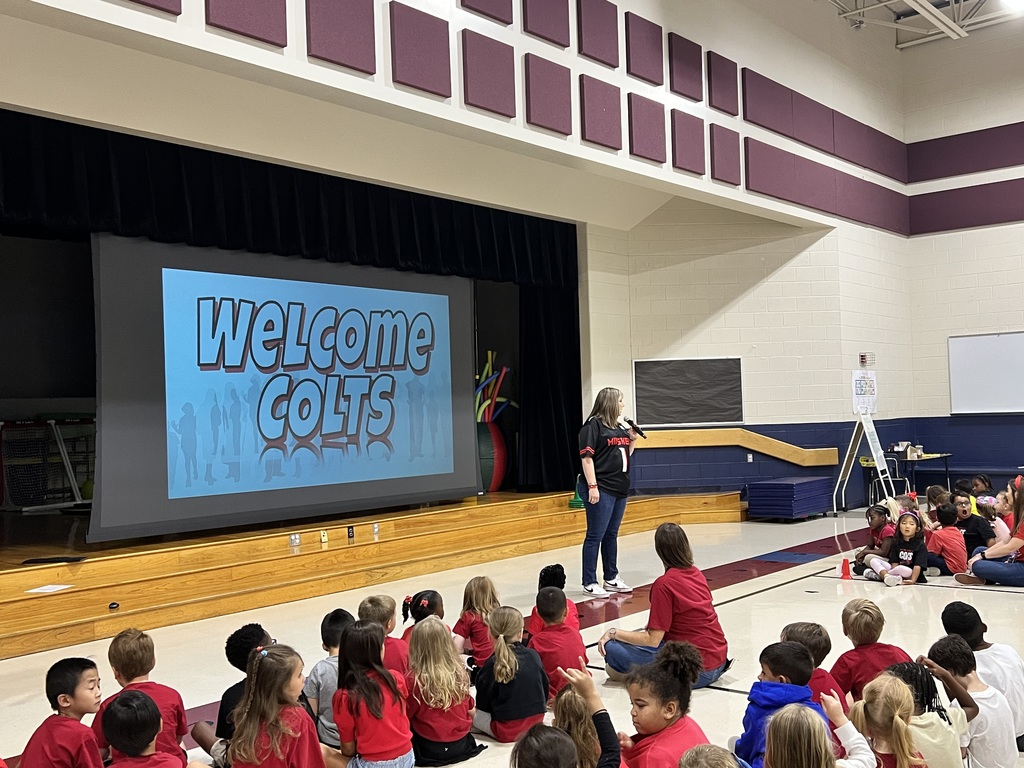 Colt Round Up