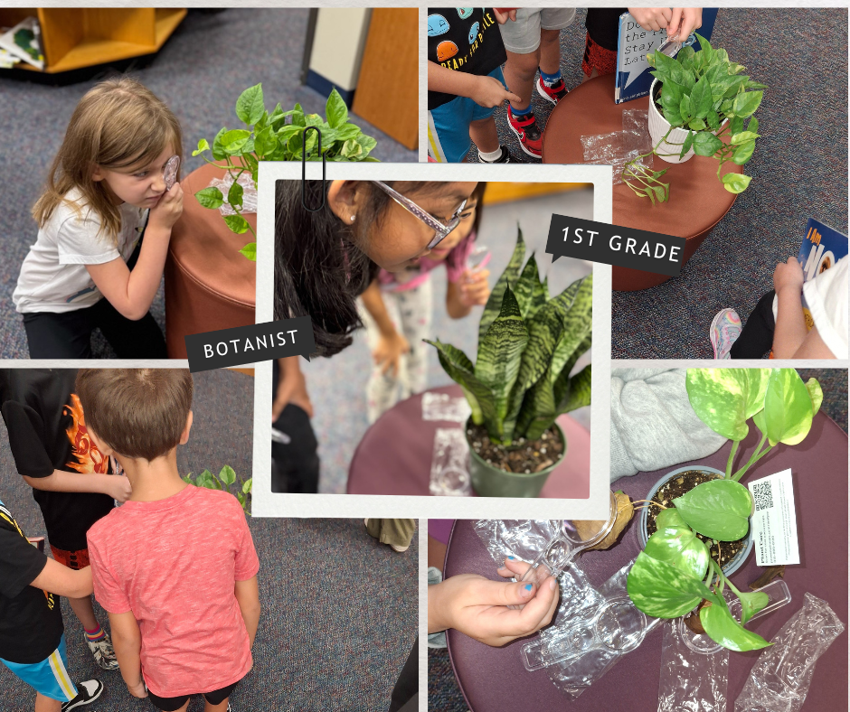 1st Grade Botanist
