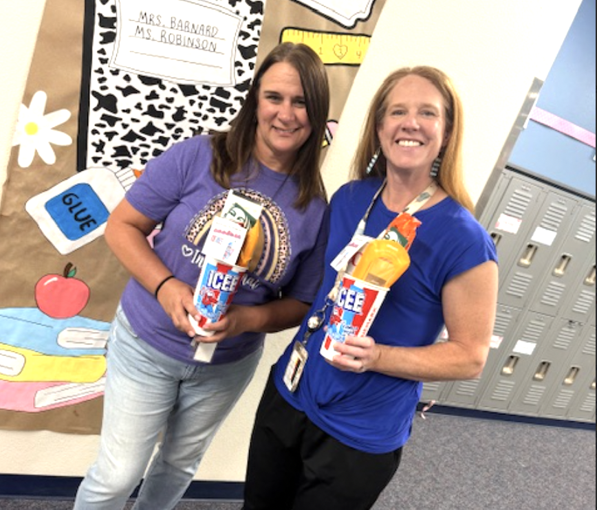 Instructional Coach