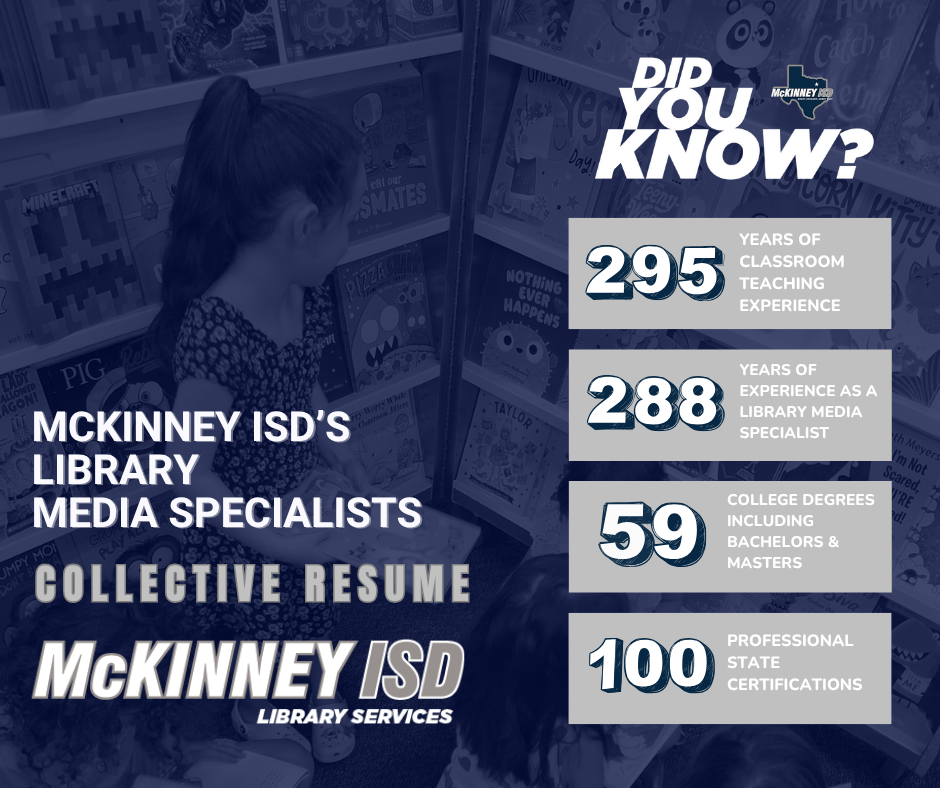 graphic that repeats the resume information in the post