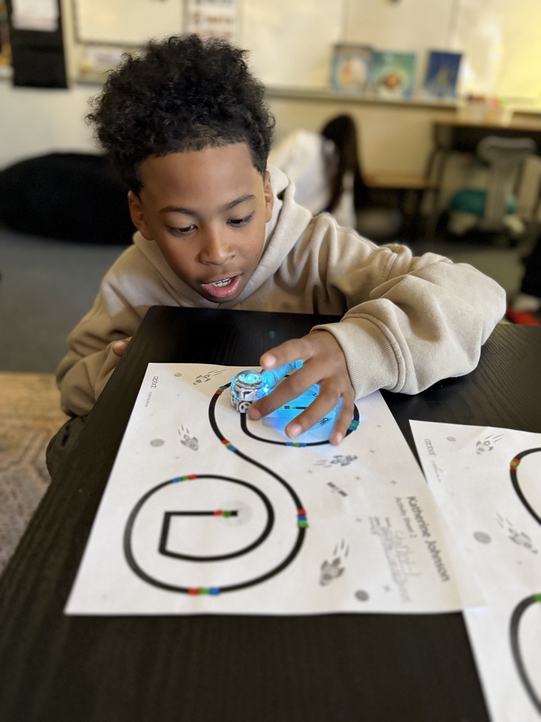 ozobot individual