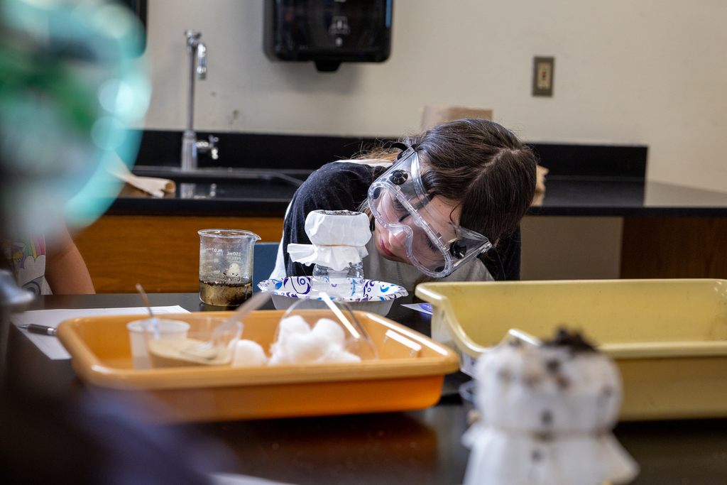 female student peering closely to examine results of lab