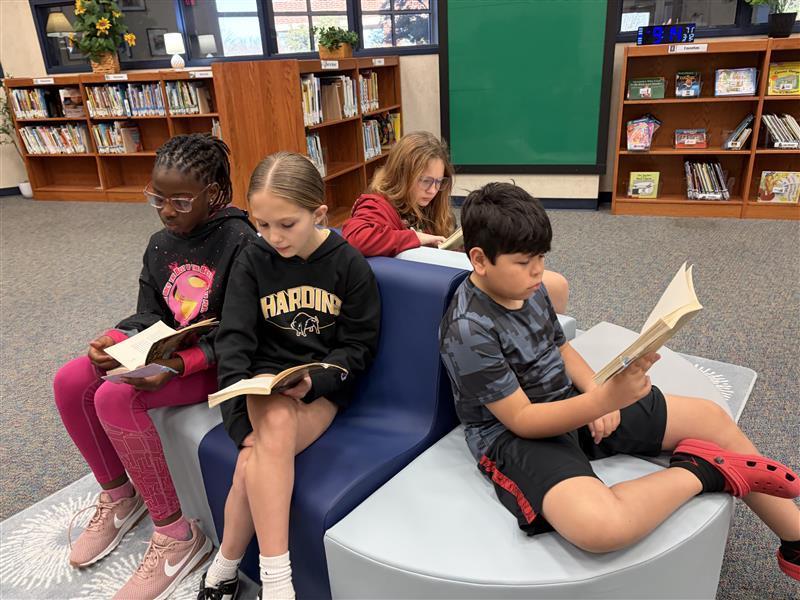 Reading in the library!