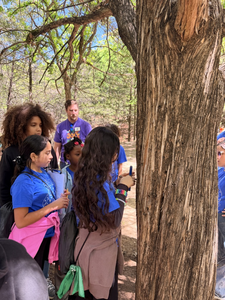 Camp Jolt, students learning about trees  