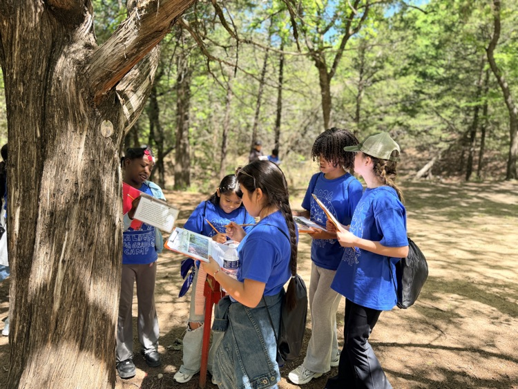 Camp Jolt tree identification 