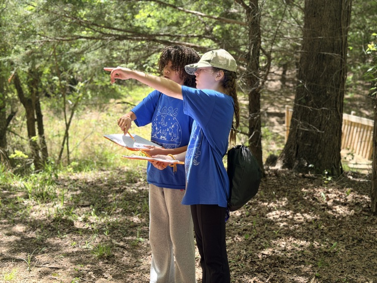 Camp Jolt tree identification 