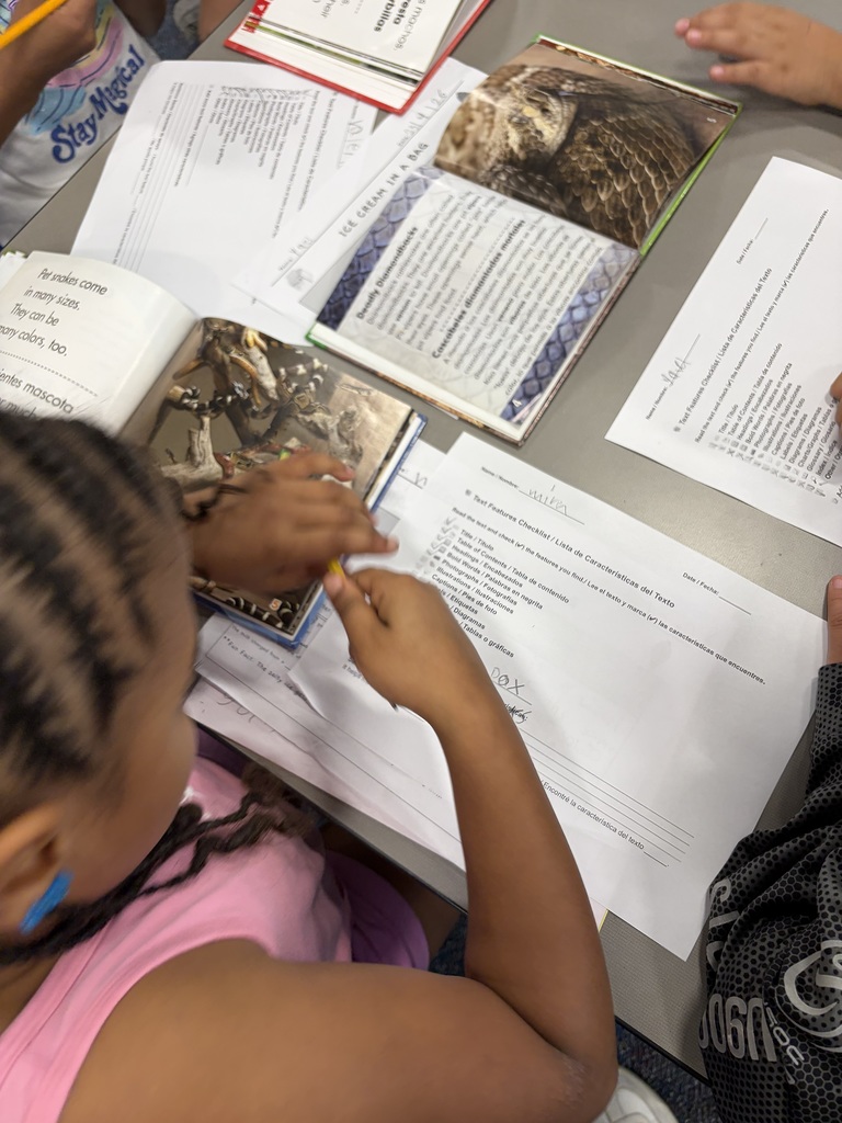 2nd grader text feature recording sheet.