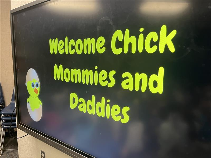 Welcome Chicks!