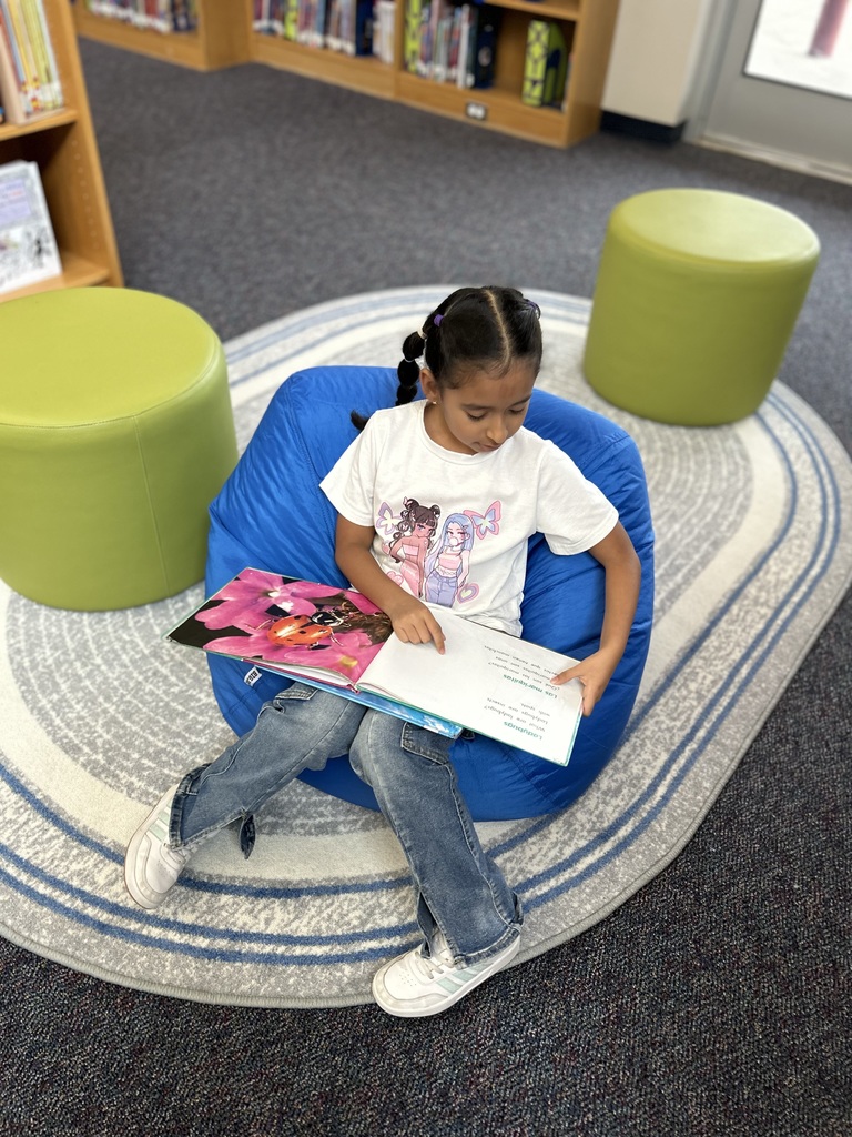 Students reading together on the bean bag chairs and rug.