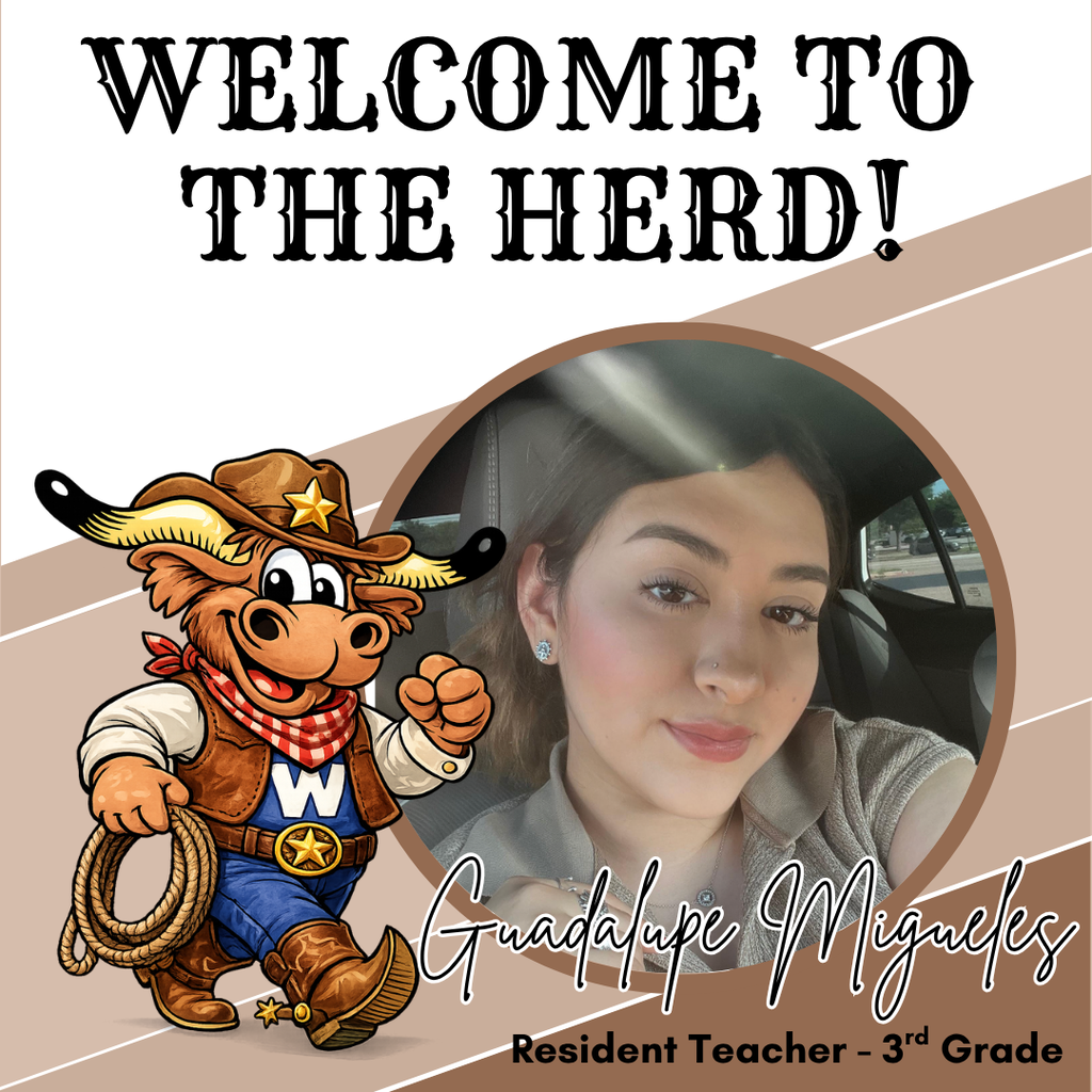 Welcome image - decorative only.