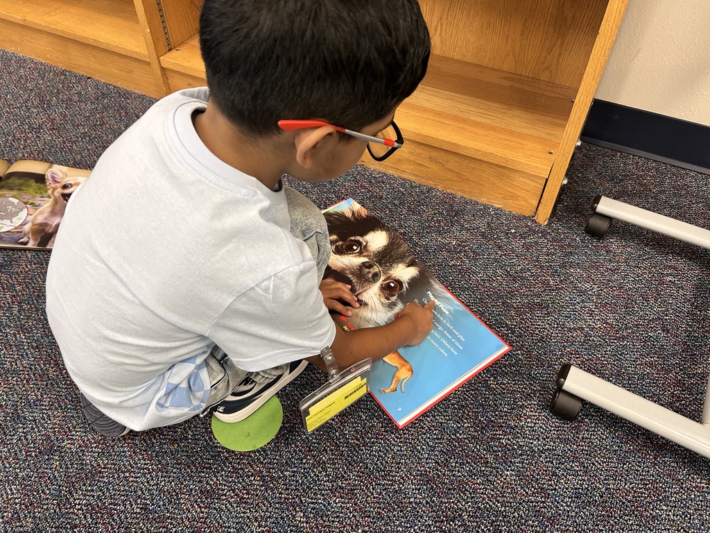 Student using the five finger strategy to find a "just right" book.