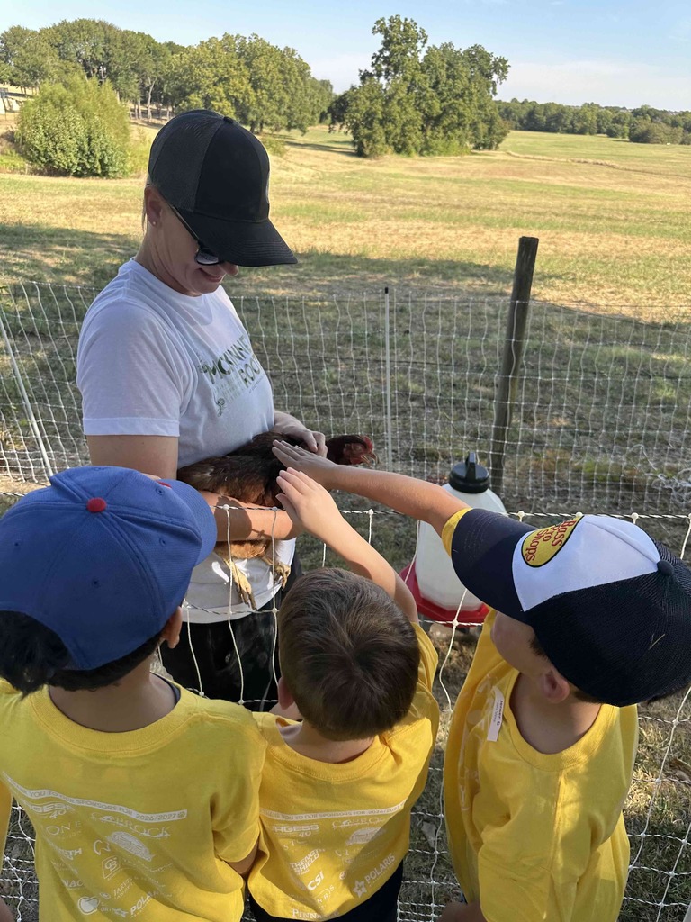 Three boys petting a chicken held by an instructor 