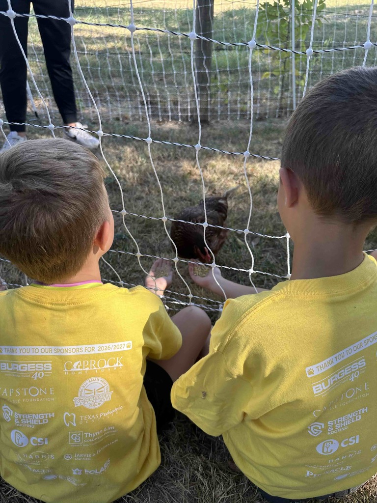 Two boys feeding a chicken