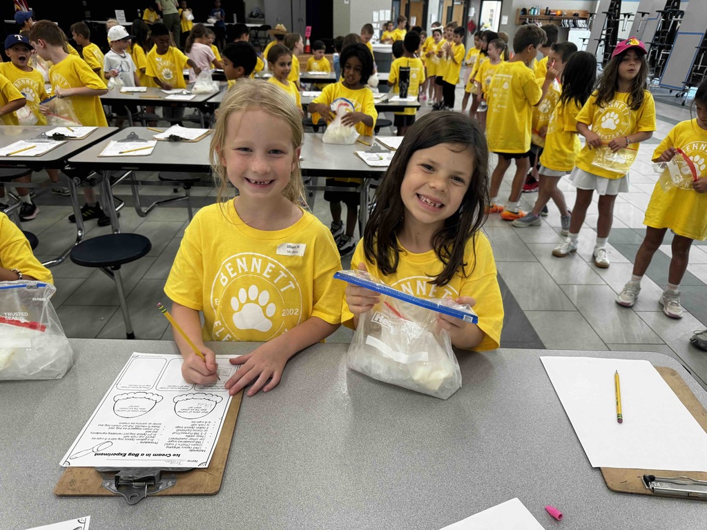 two girls at a table collaborating when making ice cream - exploring matter changes
