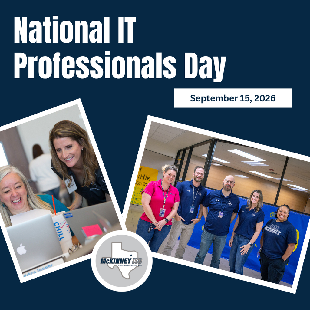 national it professionals day
