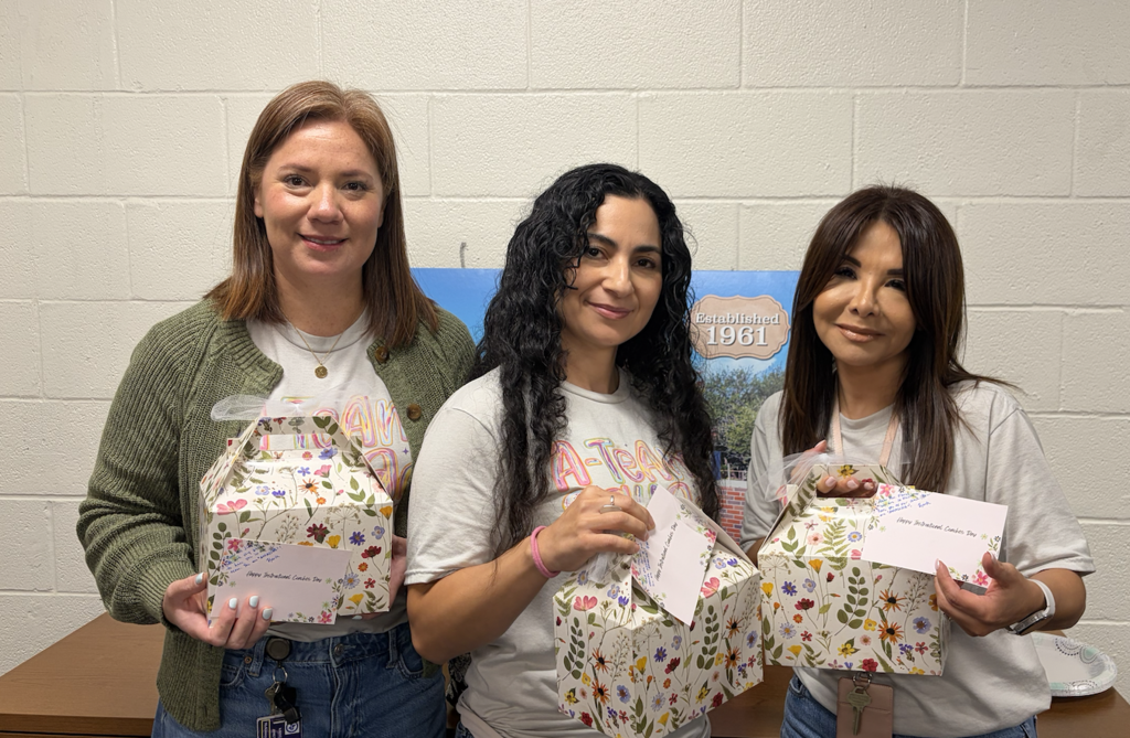 Instructional Coaches