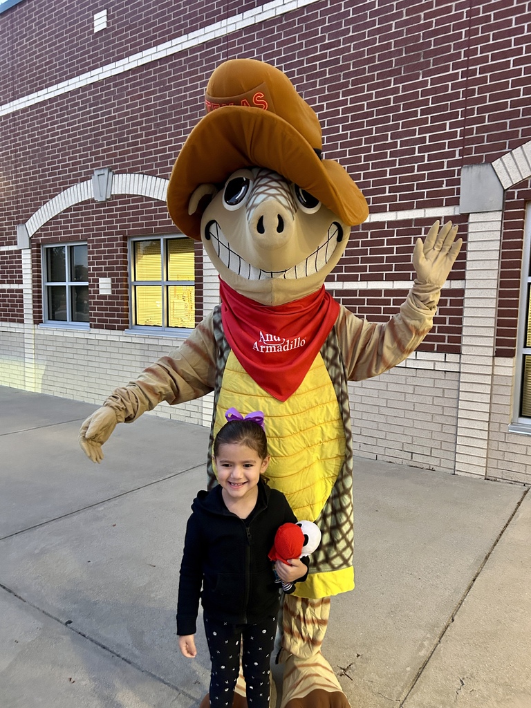 Andy the armadillo a student