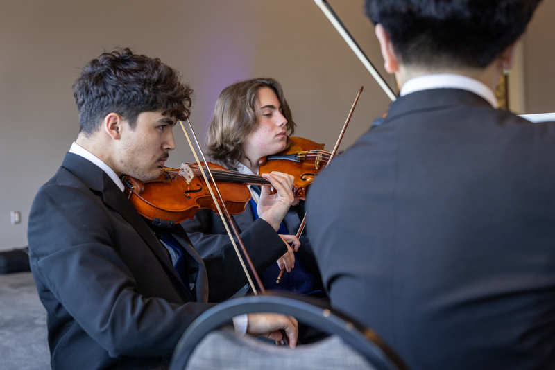 string quartet playing