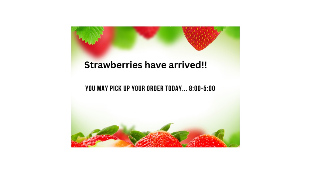 Strawberries have arrived!