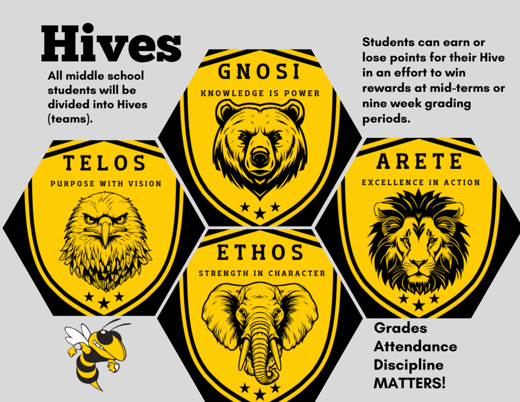 Hives