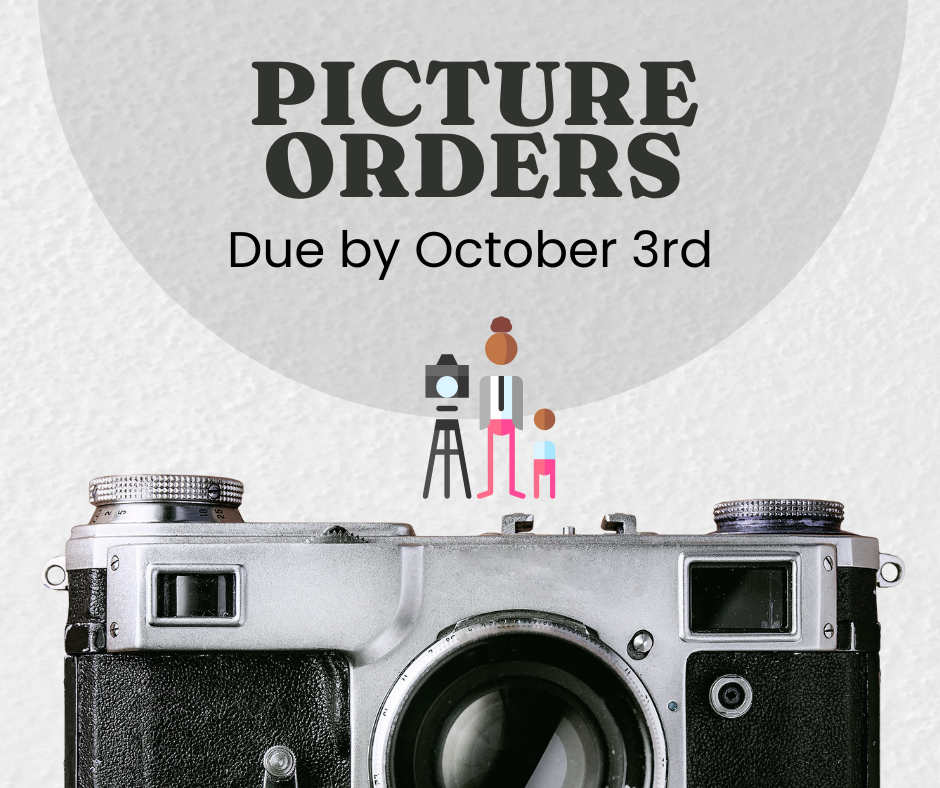 Picture order 