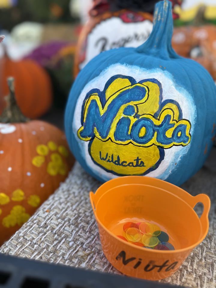 Niota