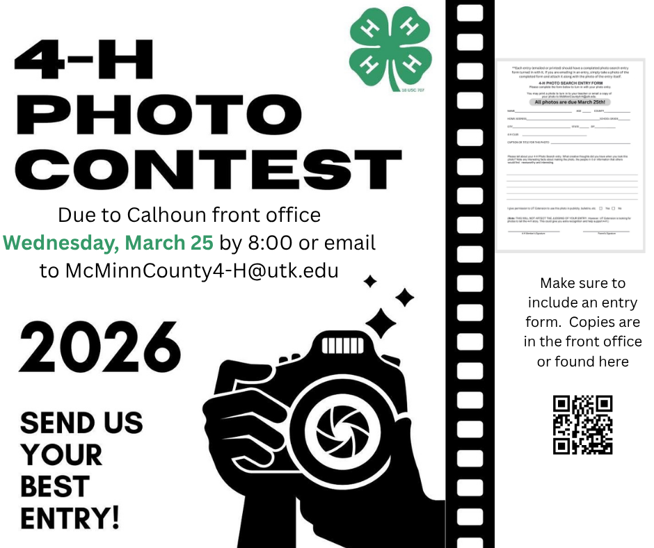 photo contest