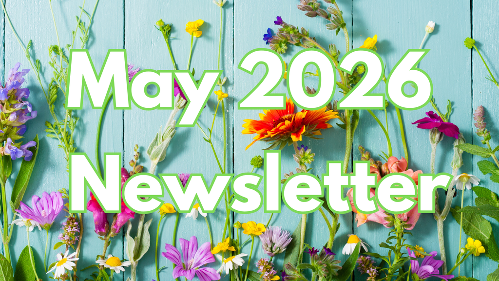 Newsletter