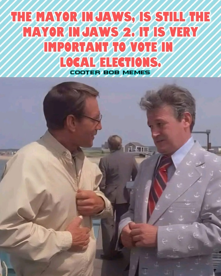 vote