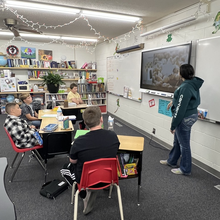 5th/6th students starting embryology project