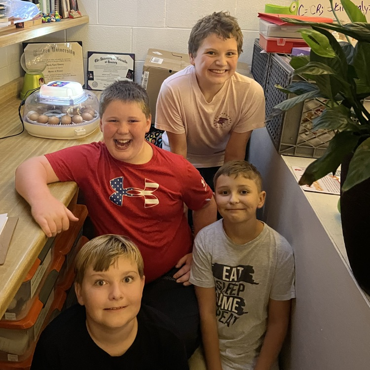 We candled our eggs and found 17 of 18!to be winners!! Bring on baby chicks on the 27th!