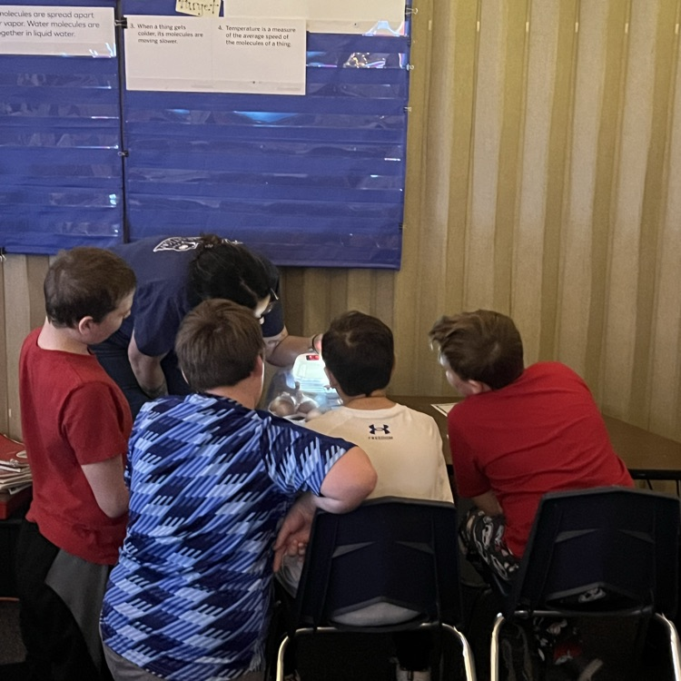 Looking at a winner egg!