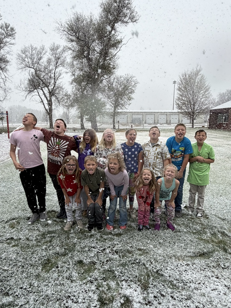 Elementary catching snowflakes. 