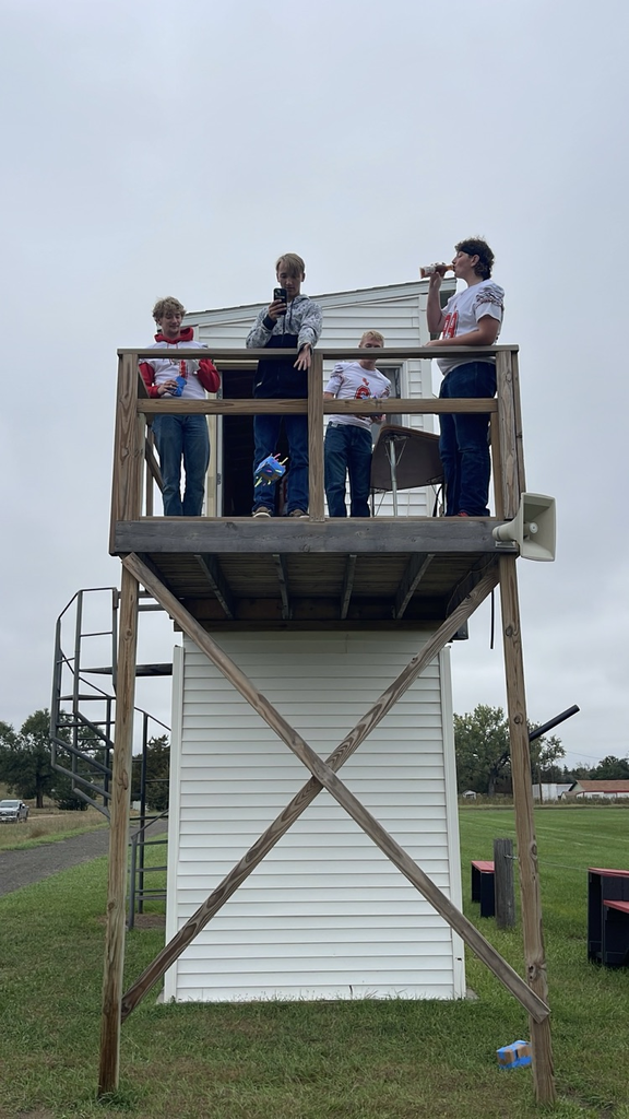 Aviation egg drops.
