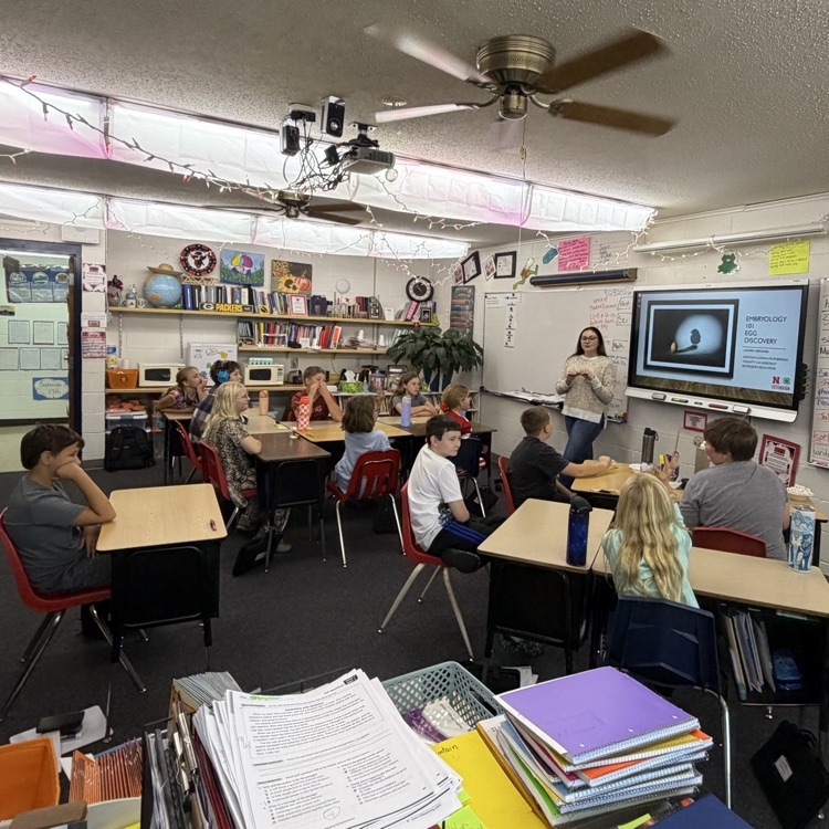 Class learning what an embryo needs to survive 