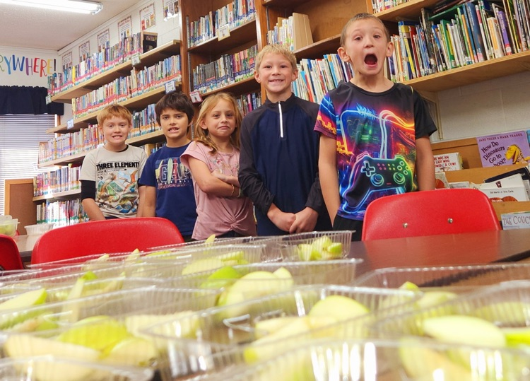 Students enjoying apples!