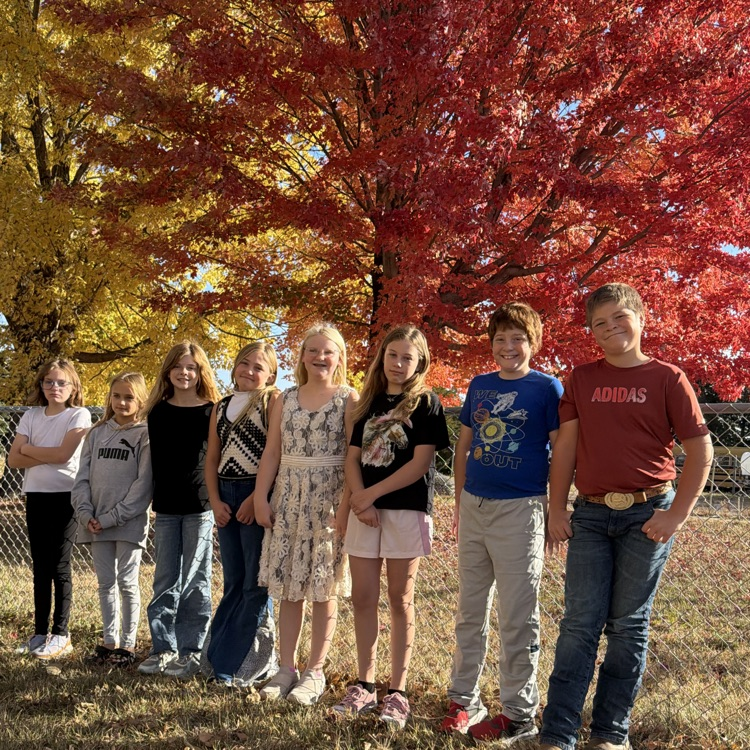 5th grade