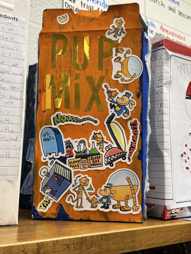 book project 